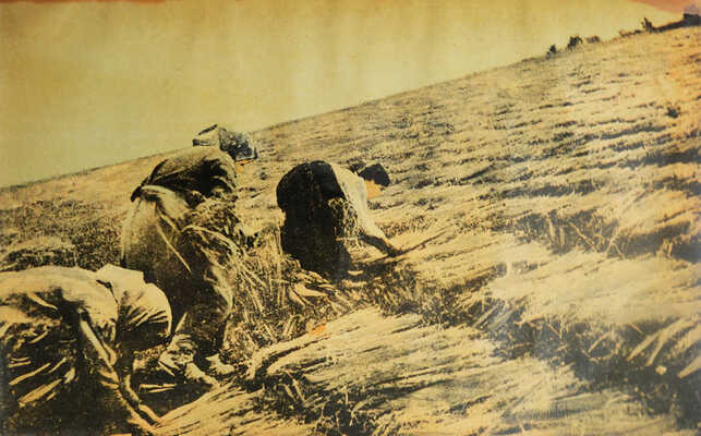 [Фотокнига] Ведущие. В боях за большевистские колхозы, за высокий урожай, за развитие животноводства. Смоленск, 1933.